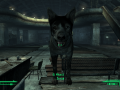Fallout3 2012-05-31 02-16-05-10.png